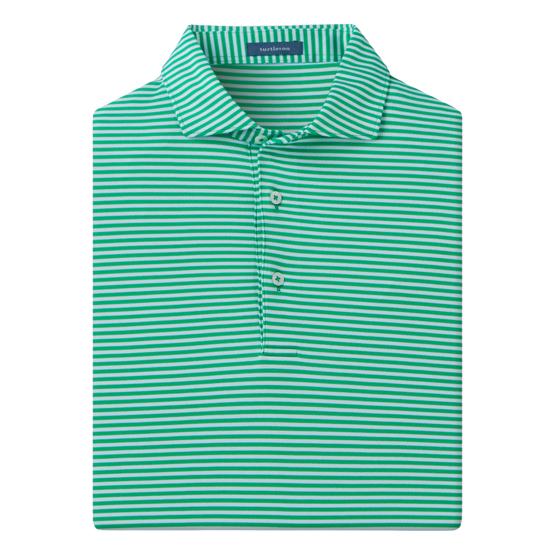 MS24K20.Turtle:Large.TCP