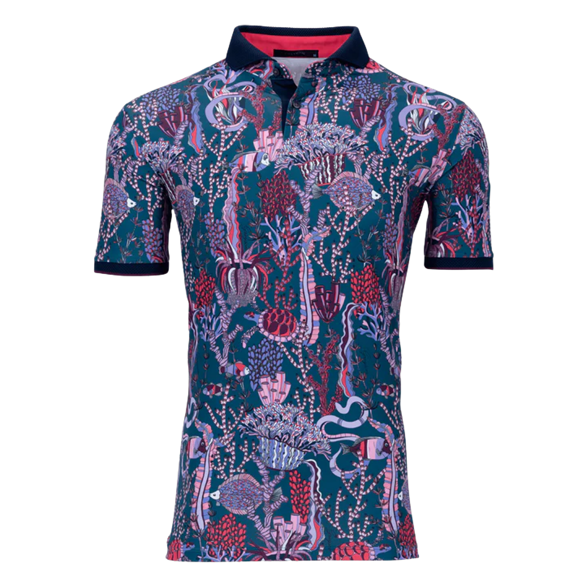 MSP24K16.Sea Turtle:Medium.TCP